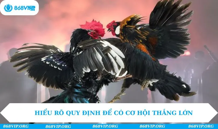 Hiểu rõ quy định để có cơ hội thắng lớn