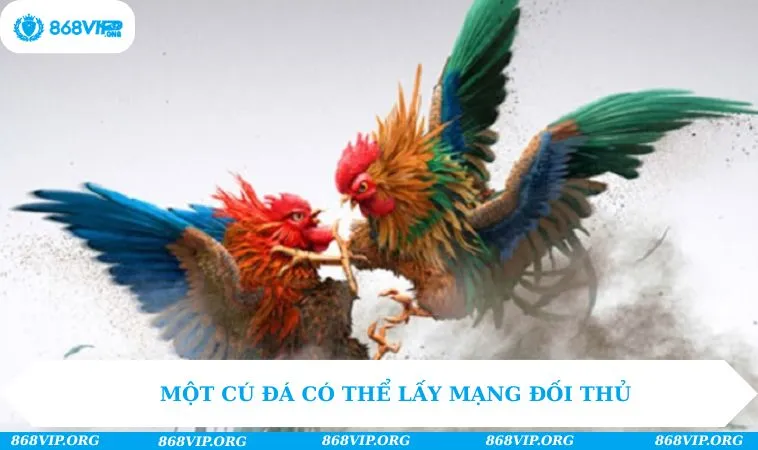 Một cú đá có thể lấy mạng đối thủ