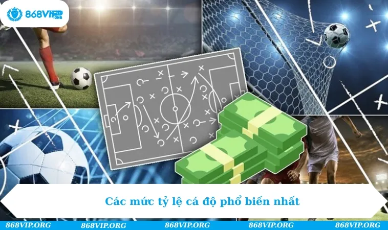Các mức tỷ lệ cá độ phổ biến nhất